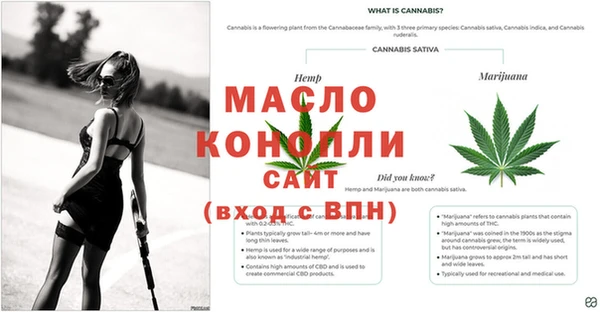 эйфоретик Заводоуковск