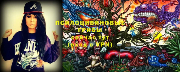 эйфоретик Заводоуковск
