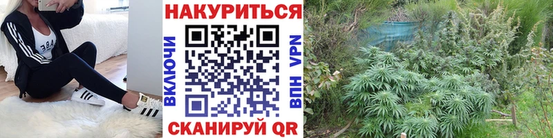 Марихуана планчик  Купить закладки  Минеральные Воды 